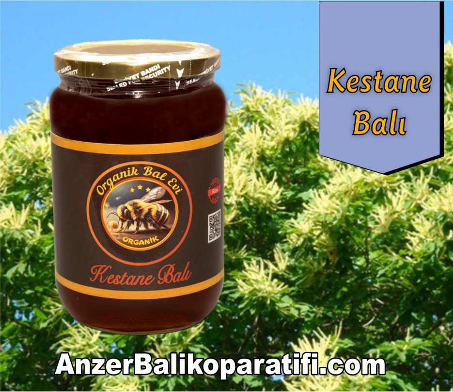 Organik Kestane Balı 1 KG